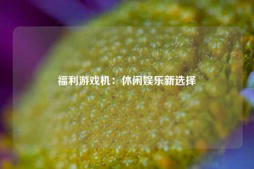 福利游戏机:休闲娱乐新选择