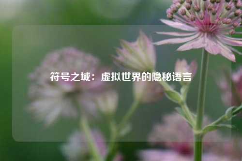 符号之域：虚拟世界的隐秘语言