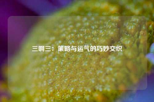 三啊三：策略与运气的巧妙交织