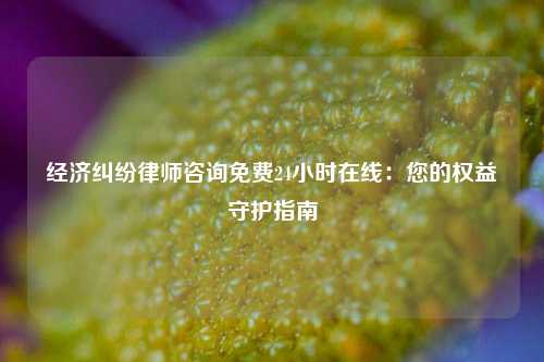 经济纠纷律师咨询免费24小时在线：您的权益守护指南