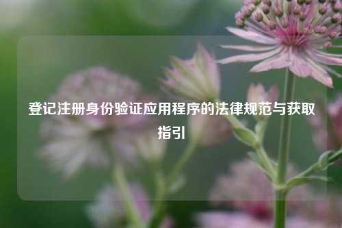 登记注册身份验证应用程序的法律规范与获取指引