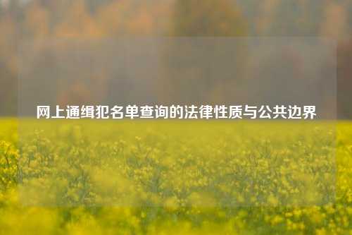 网上通缉犯名单查询的法律性质与公共边界