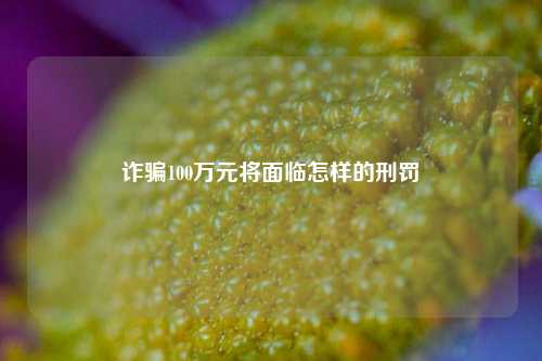 诈骗100万元将面临怎样的刑罚