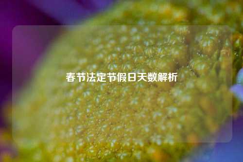 春节法定节假日天数解析
