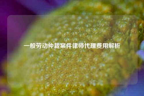 一般劳动仲裁案件律师代理费用解析