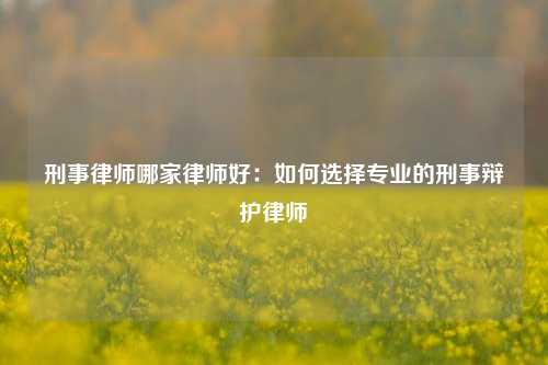 刑事律师哪家律师好:如何选择专业的刑事辩护律师