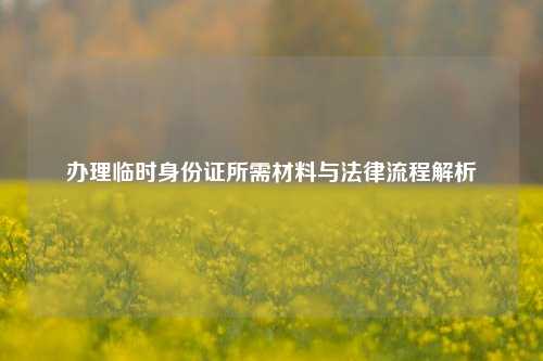 办理临时身份证所需材料与法律流程解析
