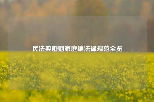 民法典婚姻家庭编法律规范全览